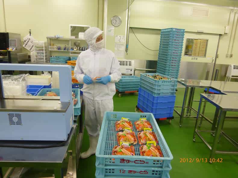 2-1Z91Z95924300.jpg 盒飯加工女工(圖2)